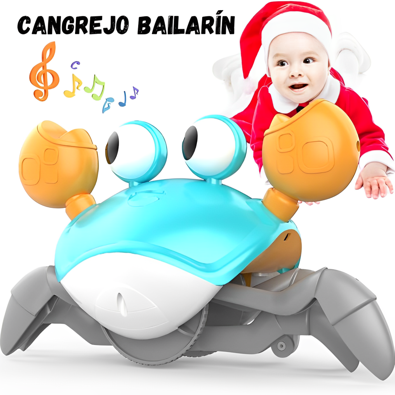 Cangrejo Bailarín